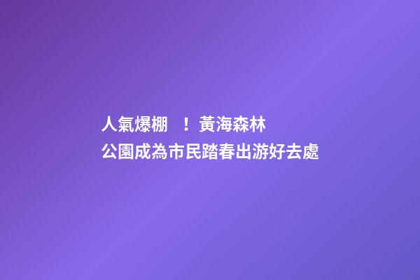 人氣爆棚！黃海森林公園成為市民踏春出游好去處